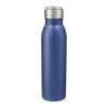 Blue Loop Stainless Steel Bottles